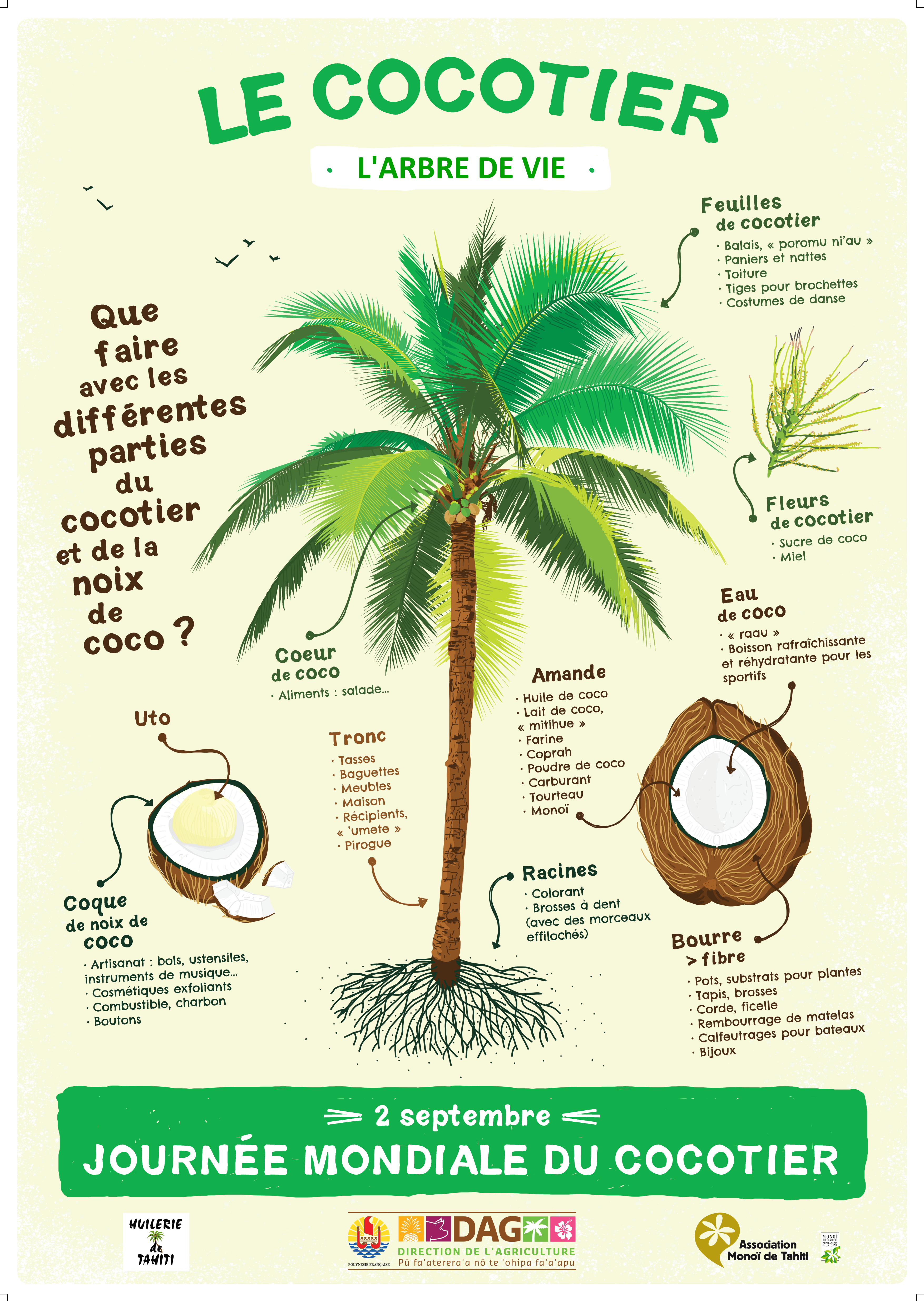 Journée mondiale du cocotier 2 septembre